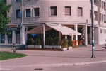 Zglobne tende
