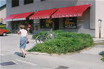 Zglobne tende