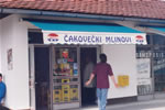 Zglobne tende